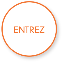 Entrer
